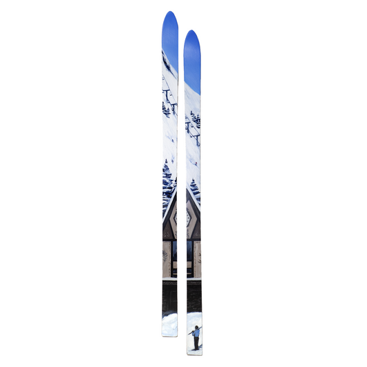 Painted Skis 4