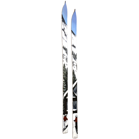 Painted Skis 5